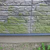 カビやコケがついていませんか?